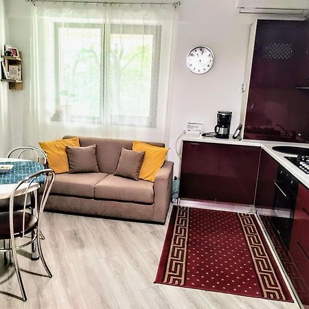 Simona Apartament Palas Mall 1 이아시 외부 사진
